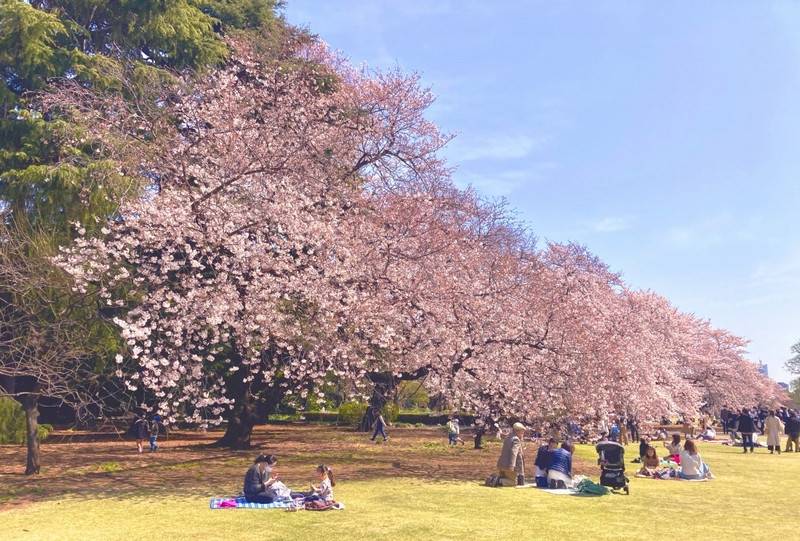 Công viên Hibiya