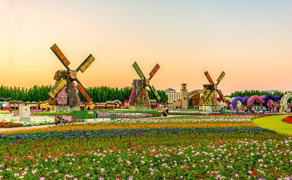 Vườn hoa lớn nhất thế giới - Miracle Garden