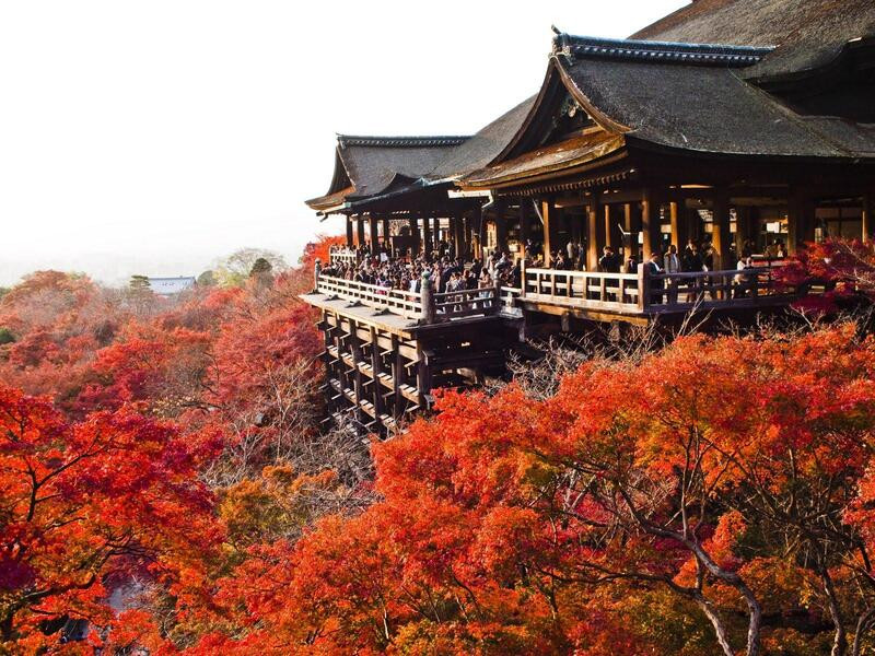Khung cảnh mùa thu lãng mạn của cố đô Kyoto