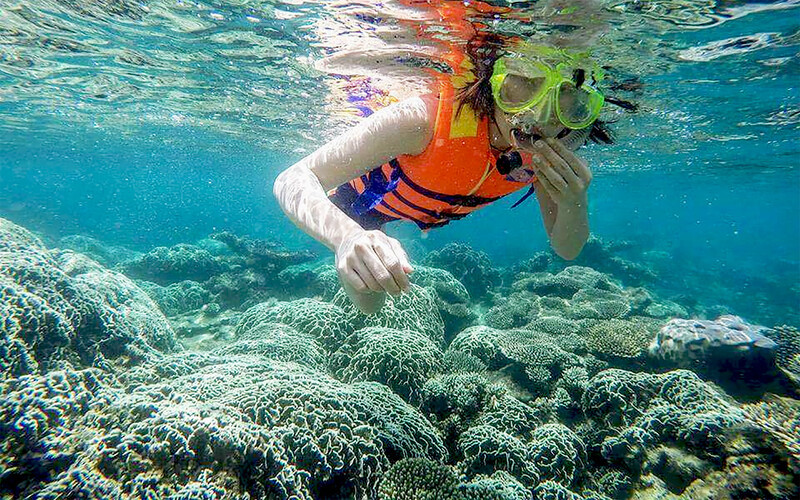 Lặn san hô ở Hòn Ngang