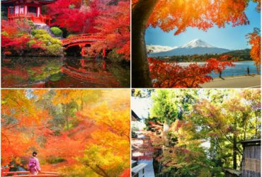 Mùa lá đỏ Nhật Bản với khung cảnh đầy lãng mạn
