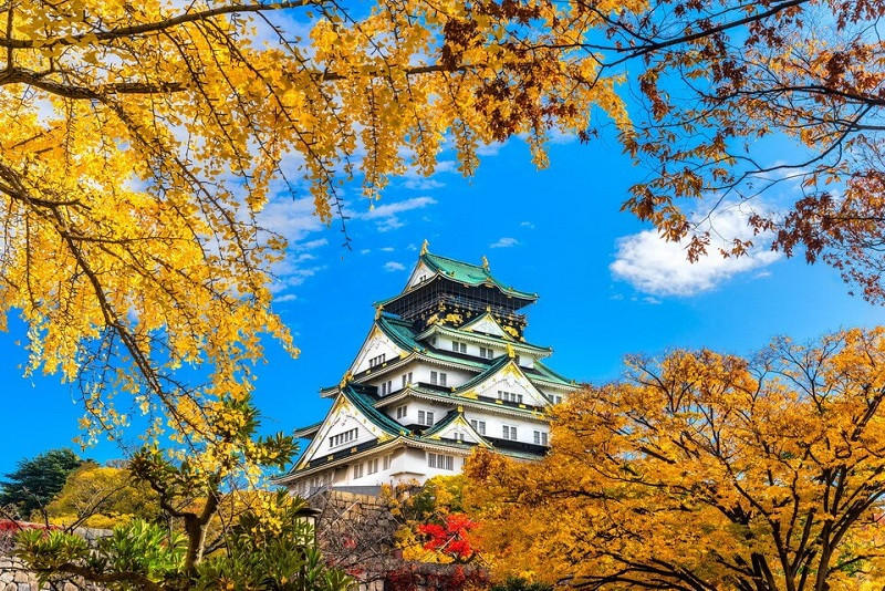 Khung cảnh mùa thu tại Lâu đài Osaka